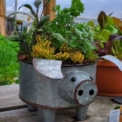 GardenCenter2 600x800 Gift Ideas - Shakespeare's Garden
