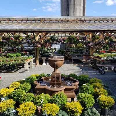 177 400x533 Garden Center - Shakespeare's Garden