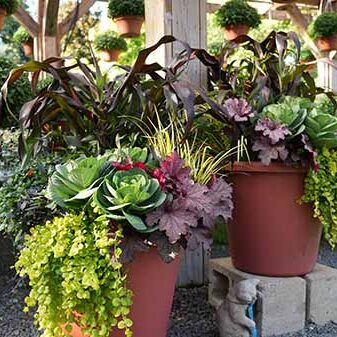 GardenCenter - Seasonal FALL Garden Center 8 - Shakespeare's Garden
