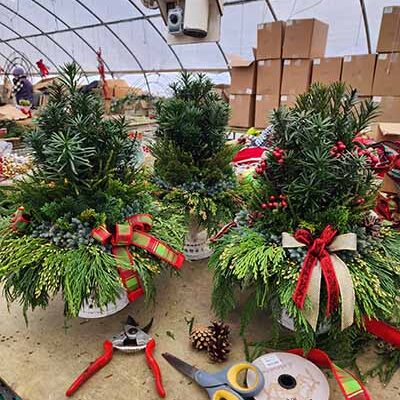 GardenCenter - Seasonal WINTER Garden Center Holidays - Shakespeare's Garden