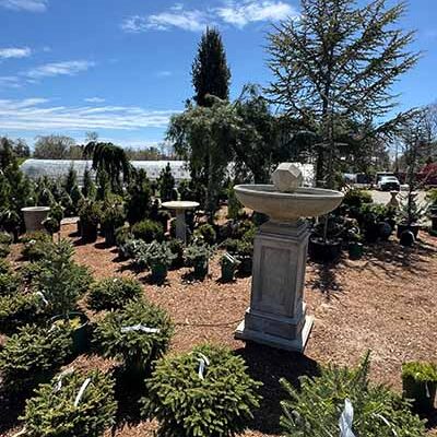 GardenCenter - TreesShrubs Garden Center 4 - Shakespeare's Garden